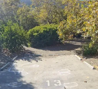 Leo Carrillo site 13, 360 photo: open dirt yard behind the pad under scattered oaks