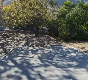 Leo Carrillo site 15, 360 photo: hillside behind the pad, oaks to the left
