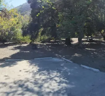 Leo Carrillo site 19, 360 photo: sycamores meet over the pad