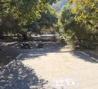 Leo Carrillo site 26, 360 photo: dirt path running under a dense oak tunnel