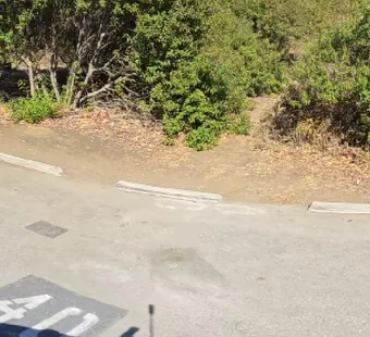 Leo Carrillo site 40, 360 photo: wide open pad, no vehicle