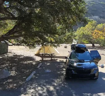 Leo Carrillo site 45, 360 photo: large oak shades most of the pad