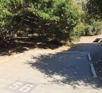 Leo Carrillo site 56, 360 photo: large oak dominates the shade