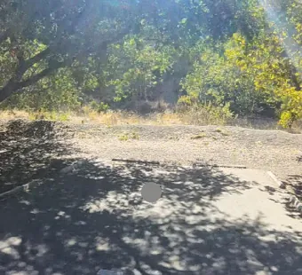 Leo Carrillo site 71, 360 photo: oaks shade most of the site