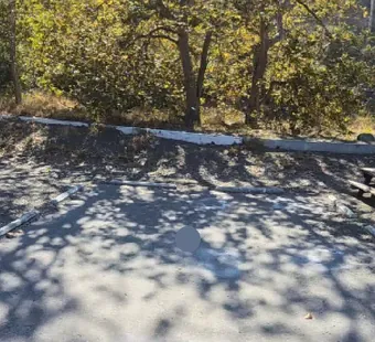 Leo Carrillo site 73, 360 photo: picnic table and log barriers set back under the trees