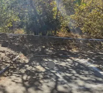 Leo Carrillo site 75, 360 photo: picnic table set back under the oaks