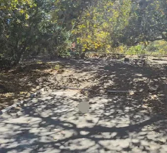 Leo Carrillo site 78, 360 photo: heavy oak shade