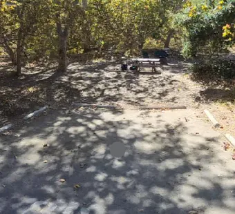 Leo Carrillo site 80, 360 photo: oaks shade the site heavily