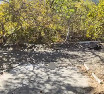 Leo Carrillo site 88, 360 photo: heavy canopy, dappled light