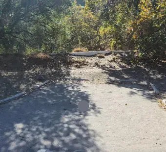 Leo Carrillo site 89, 360 photo: log barriers and a fallen branch across the back