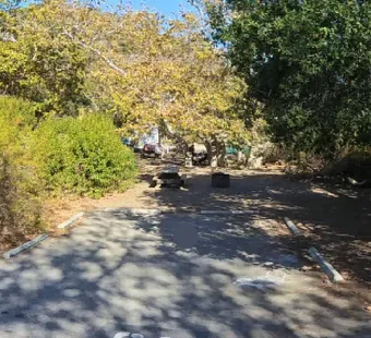 Leo Carrillo site 93, 360 photo: camp gear and coolers scattered under the canopy