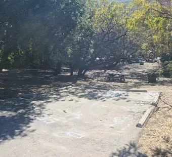 Leo Carrillo site 135, 360 photo: dense oak canopy shades the whole pad