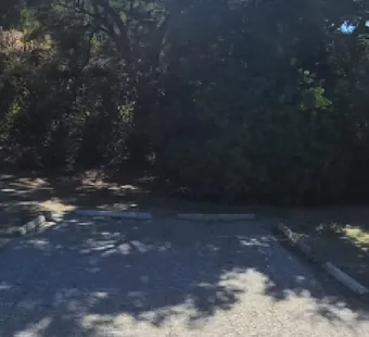 Malibu Creek site 11, 360 photo: large oak spreads over the pad