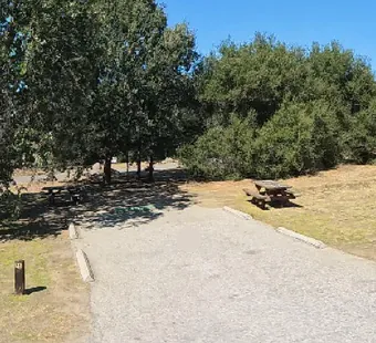 Malibu Creek site 16, 360 photo: oak shades the left of the pad