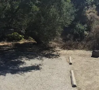 Malibu Creek site 17, 360 photo: oaks behind on the left