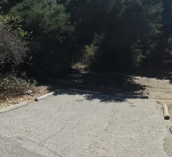 Malibu Creek site 21, 360 photo: oaks close behind