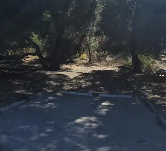 Malibu Creek site 24, 360 photo: deep shade under the oaks