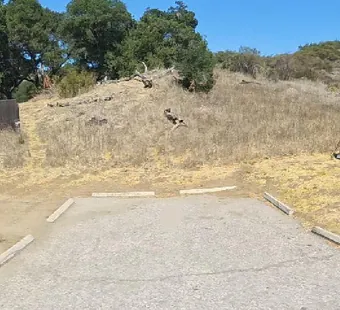 Malibu Creek site 31, 360 photo: table and ring to the left