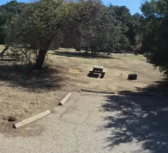 Malibu Creek site 38, 360 photo: oaks behind and to the right