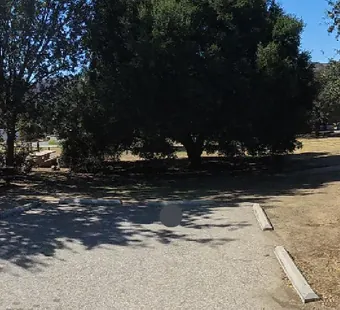 Malibu Creek site 40, 360 photo: oaks on three sides