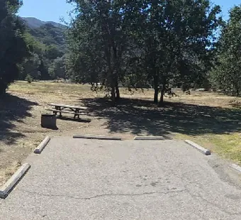 Malibu Creek site 49, 360 photo: oaks behind