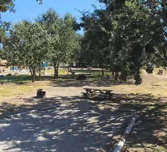Malibu Creek site 54, 360 photo: oaks behind and right