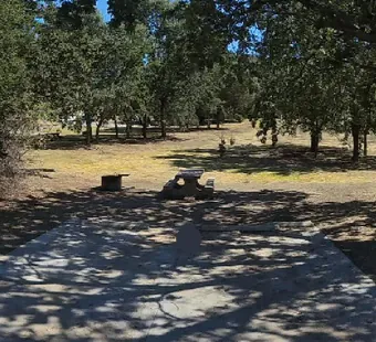 Malibu Creek site 55, 360 photo: oaks on both sides