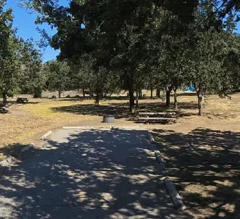 Malibu Creek site 58, 360 photo: oak canopy over the right