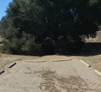 Malibu Creek site 59, 360 photo: big oak straight behind