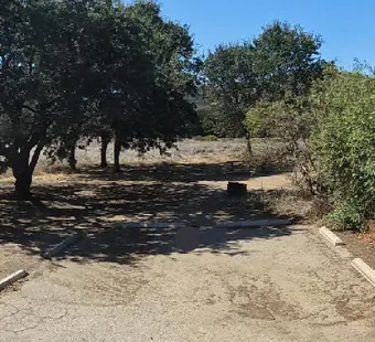 Malibu Creek site 61, 360 photo: oak over the left