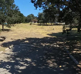 Malibu Creek site 63, 360 photo: big oak over the right