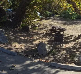 Sycamore Canyon site 15, 360 photo: old oak spreads right over the site