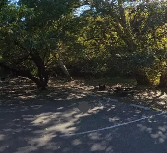 Sycamore Canyon site 29, 360 photo: sits at a bend in the loop road