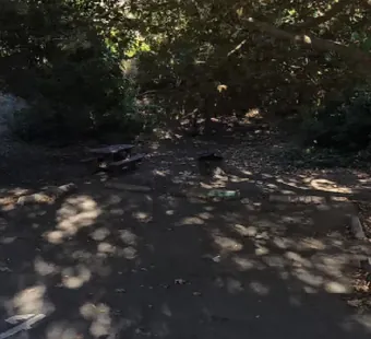Sycamore Canyon site 4, 360 photo: deep shade under the sycamores
