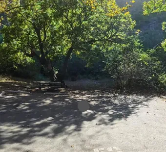 Sycamore Canyon site 50, 360 photo: quiet end of the loop under heavy sycamore cover
