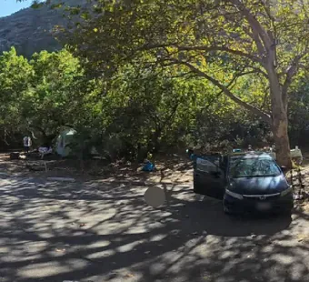 Sycamore Canyon site 54, 360 photo: sycamores overhead